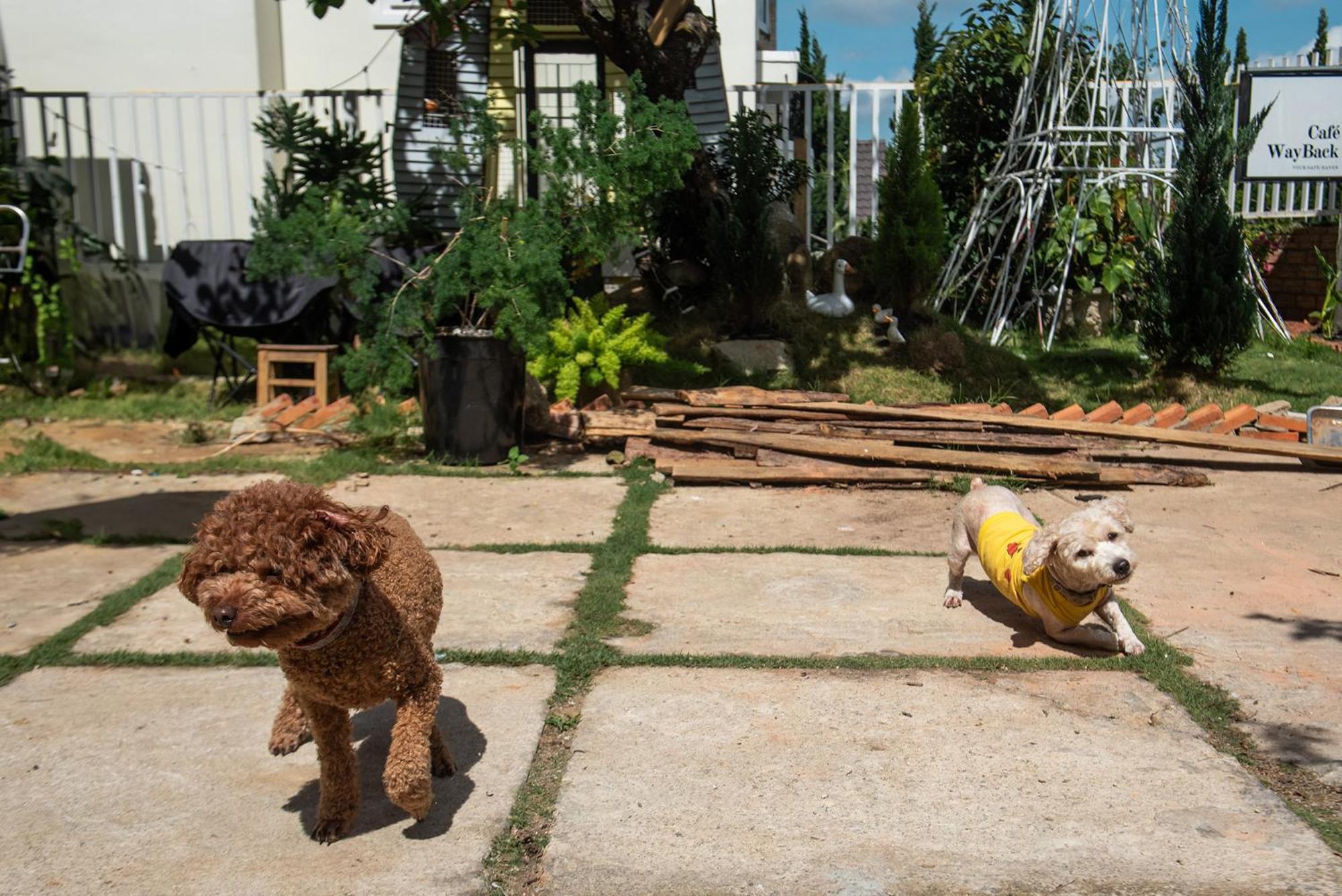 Chai Nho Homestay ダラット エクステリア 写真
