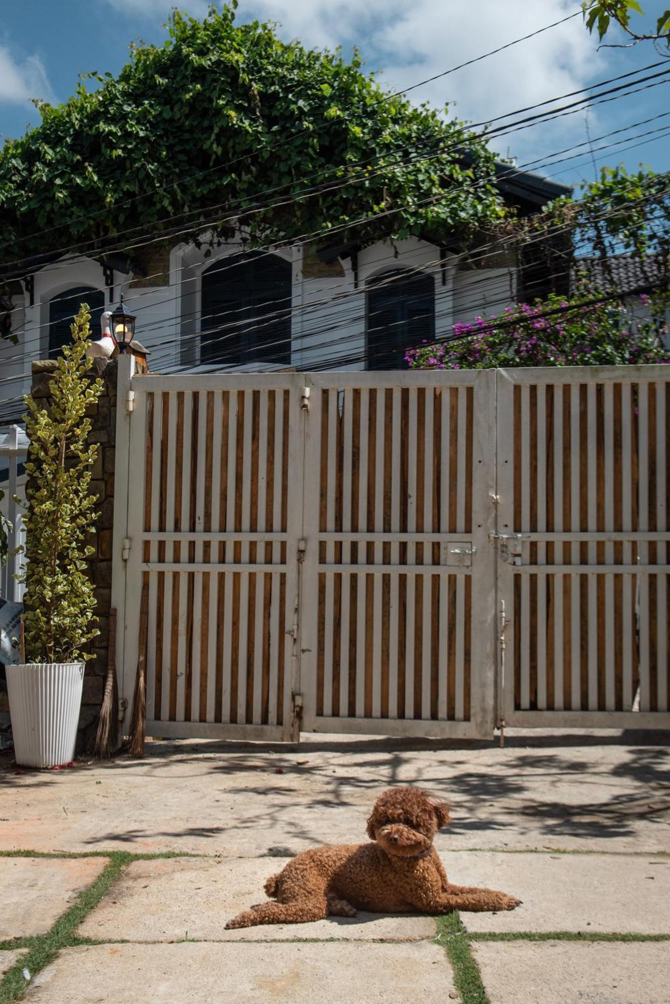 Chai Nho Homestay ダラット エクステリア 写真