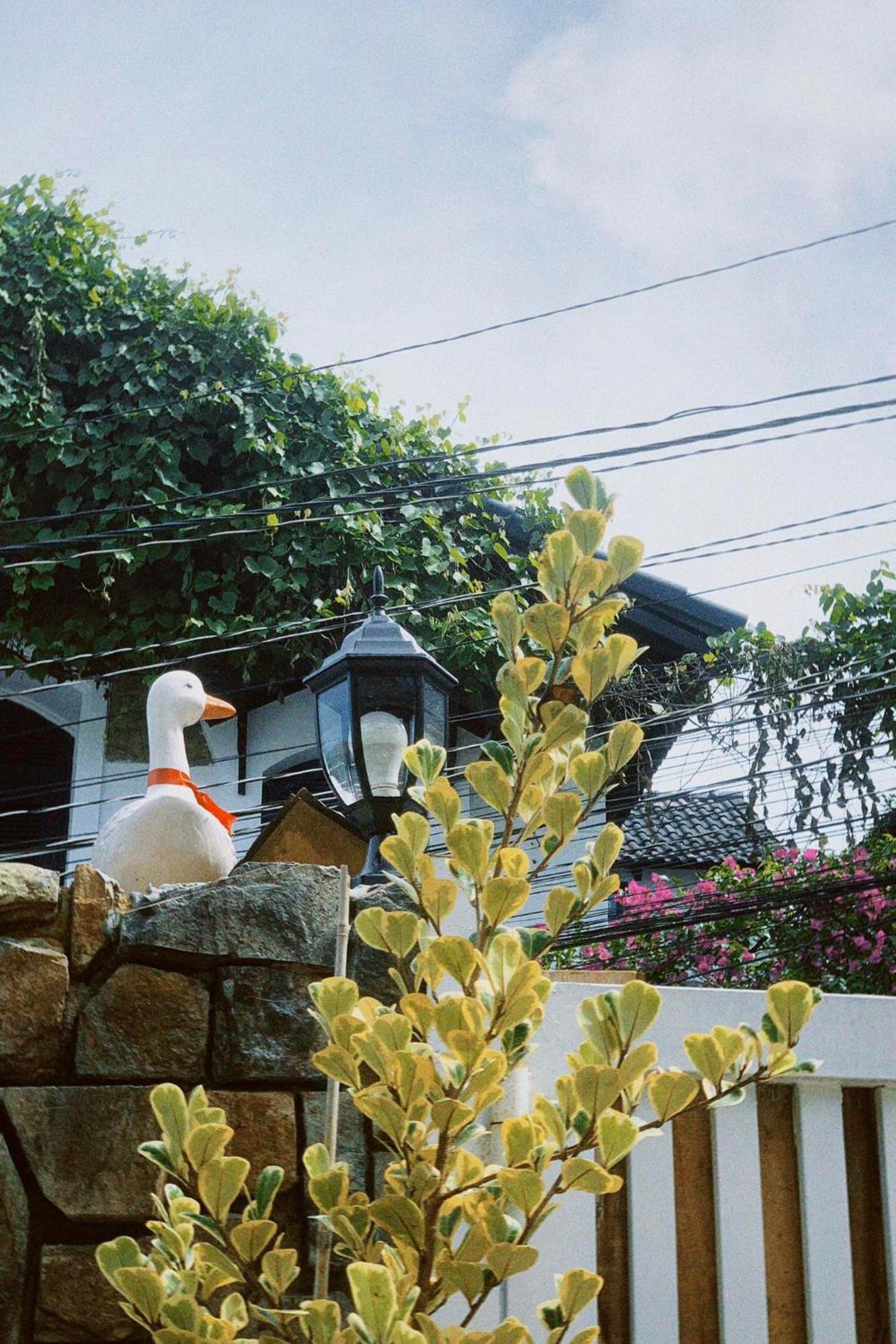 Chai Nho Homestay ダラット エクステリア 写真